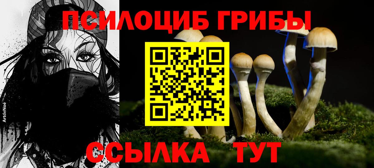 Арсеньев  Псилоцибиновые грибы GOLDEN TEACHER  Галлюциногенные грибы Psilocybe  Вход с VPN 